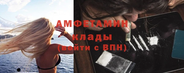 молекула духа Алексин