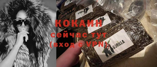 молекула духа Алзамай